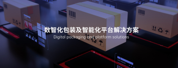 包裝行業(yè)網(wǎng)站建設案例解析：如何把專(zhuān)業(yè)感、品牌力拉滿(mǎn)